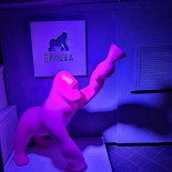 Sushi Gorilla Genova Boisson