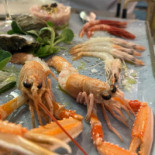 Dosaggiozero Il Comida