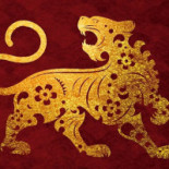 Panzi Logo