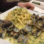 Capotavola Nourriture