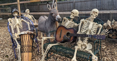 Osteria L'oliveta drink