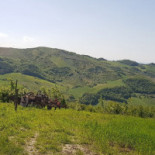 Agriturismo Fraschini