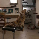 Piano B À l'intérieur