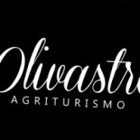 L'olivastro Logo