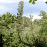Locanda San Leone Extérieur