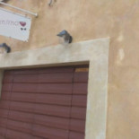 Serravalle Carta