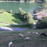 Snoopy Lake outside