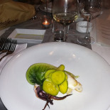 Origano Bebida