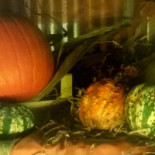 Barhacca food
