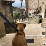 Il Ciabattino Bebida