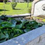 La Marescialla