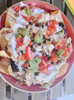 Iguana food