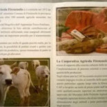 I'toscanaccio Carte