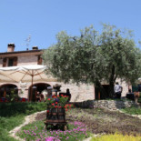 Agriturismo Biologico Villa Rosa outside
