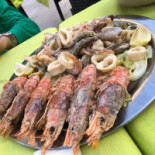 Bio 72 Comida