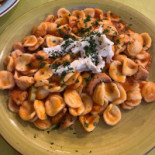 Bio 72 Comida