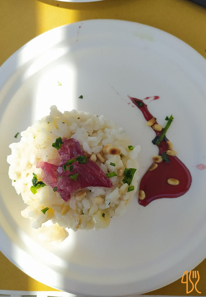 Gastronomia Da Salva Nourriture