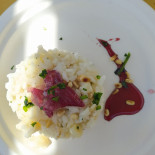 Gastronomia Da Salva Nourriture