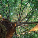 Agriturismo L'oca E La Graticola outside