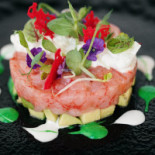 Tuna Lounge Bebida