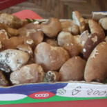 Gaute La Nata food