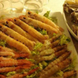 L' Argonauta Nourriture
