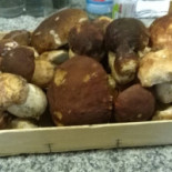 Del Moro Comida