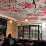 Hanami À l'intérieur