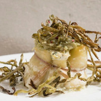 Cibus food