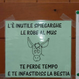 Malga Casarina Carte