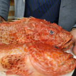 Osteria Scvnazz (giovinazzo) Nourriture