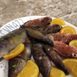 Osteria Scvnazz (giovinazzo) Nourriture