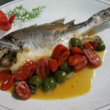 Sole Nourriture