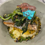 Alevante food