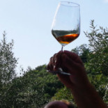 La Rocchetta Boisson