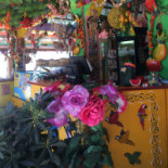 Tutti Frutti Extérieur