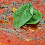 Pummare Prati Comida