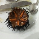 Pesce Bollicine Boisson