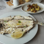 Menapace Comida