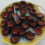 Alimentari Tabacchi Da Carlo Boisson