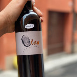 Erbavoglio Modena Boisson