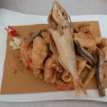 Tortuga Nourriture