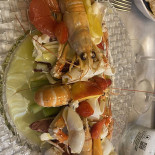 Tortuga Nourriture