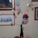 Paciugo Bebida