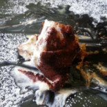 Fork Comida