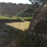Agriturismo Da Valore Exterior