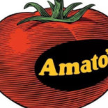Il Valvola Logo