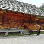 Malga Valparola Exterior