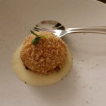 Cucromia Boisson
