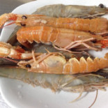 I Bucanieri Nourriture